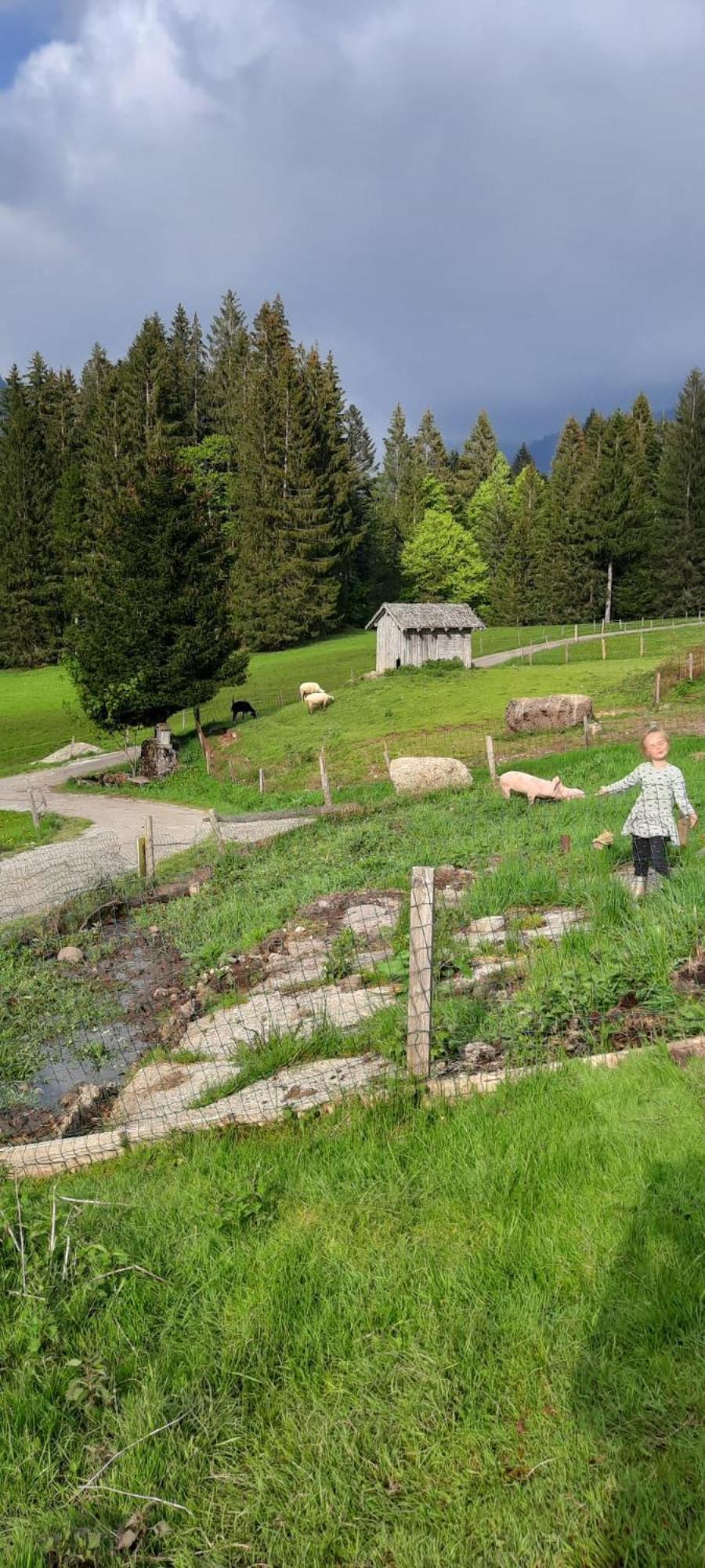 히티사우 Jausenstation Neuschwand 빌라 외부 사진