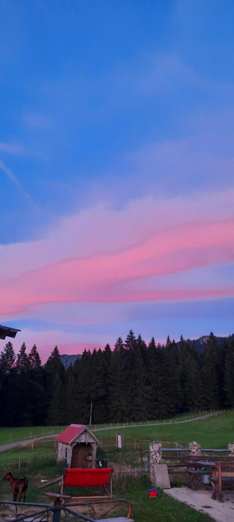 히티사우 Jausenstation Neuschwand 빌라 외부 사진