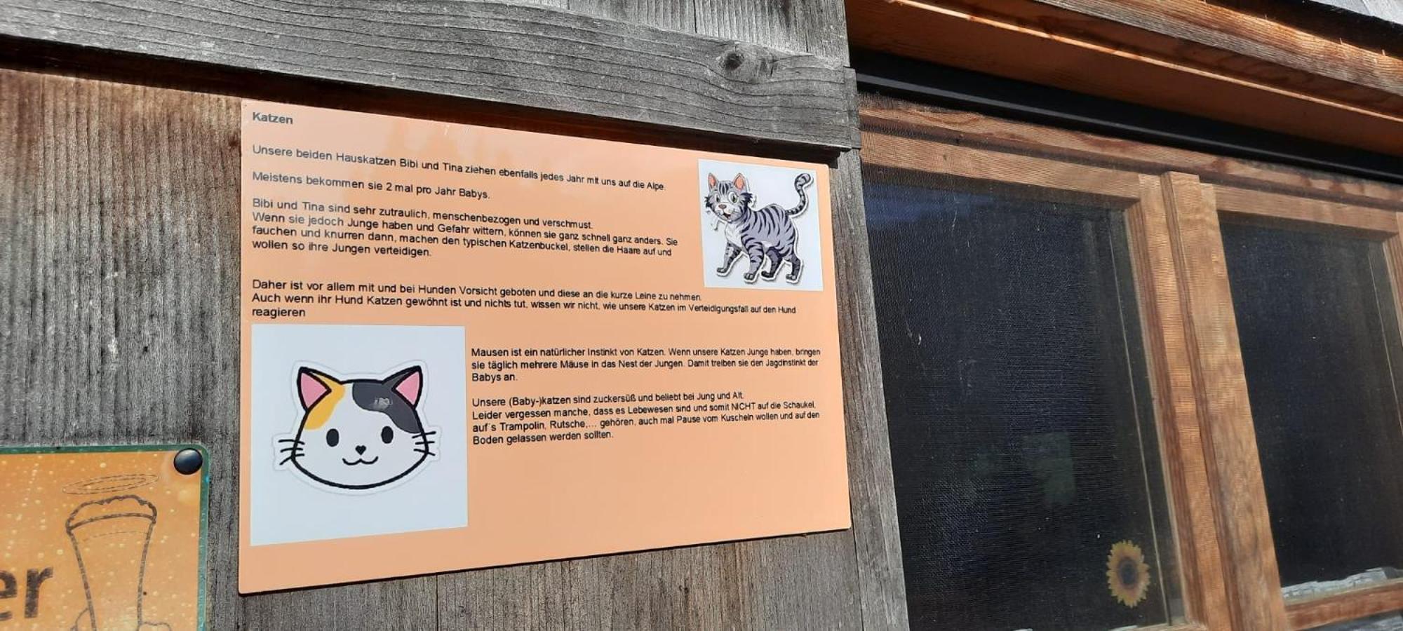 히티사우 Jausenstation Neuschwand 빌라 외부 사진