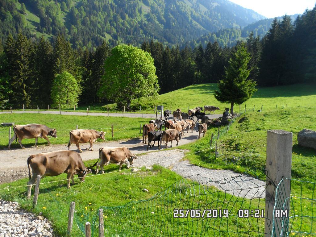 히티사우 Jausenstation Neuschwand 빌라 외부 사진