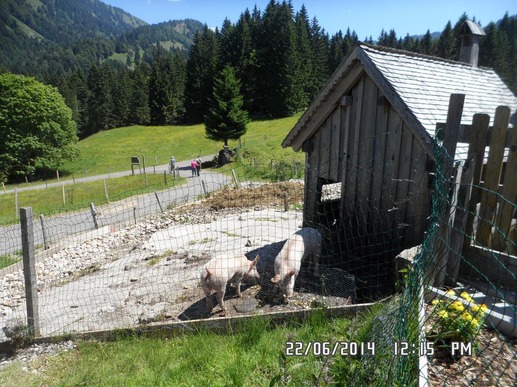 히티사우 Jausenstation Neuschwand 빌라 외부 사진