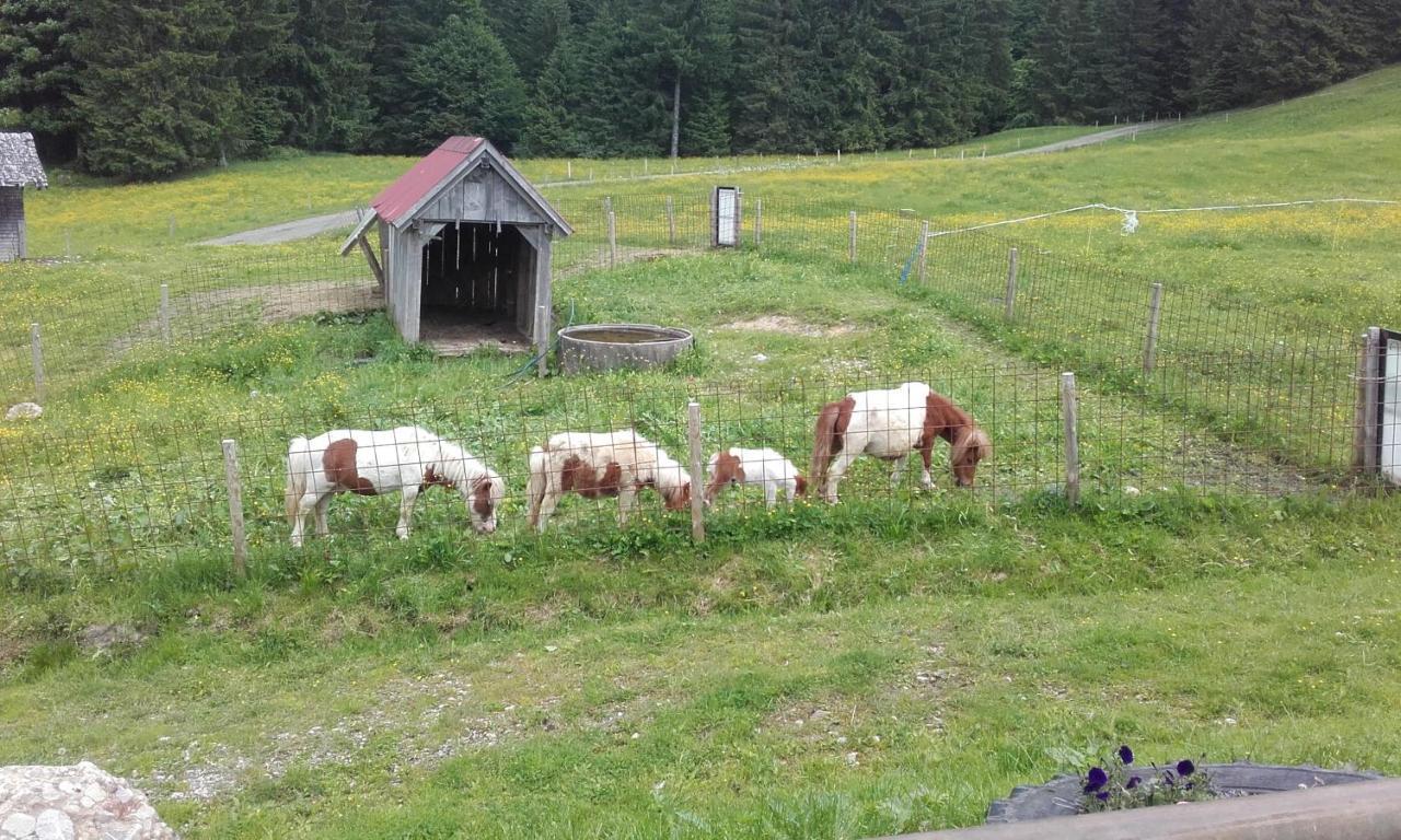 히티사우 Jausenstation Neuschwand 빌라 외부 사진